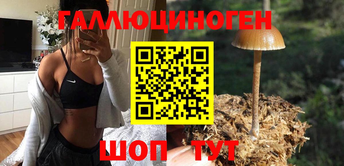 Богородск  Галлюциногенные грибы GOLDEN TEACHER  Вход с VPN 