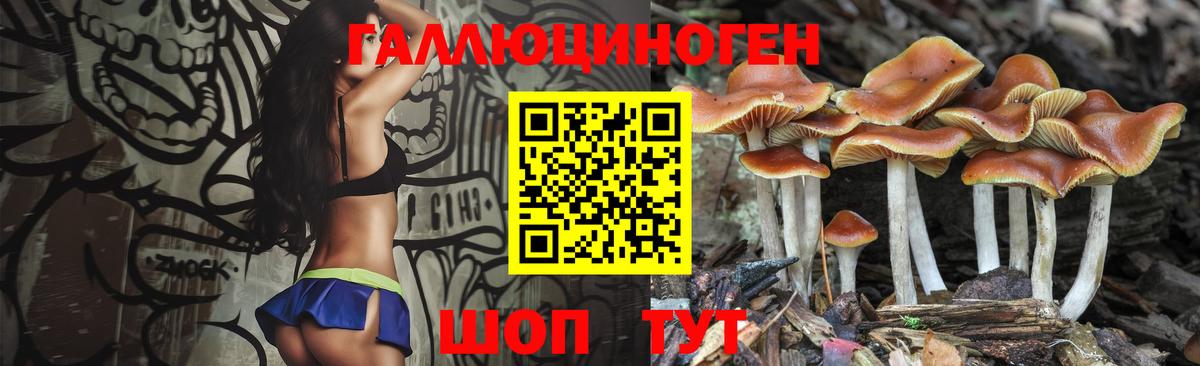 Галлюциногенные грибы Magic Shrooms Богородск